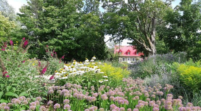 Rosemère Council Formally Adopts Redevelopment Plan for Place Rosemère Sector