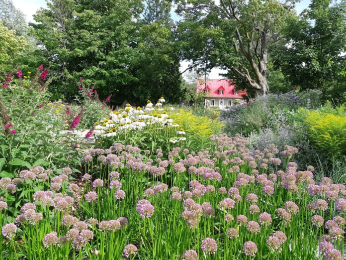 Rosemère Council Formally Adopts Redevelopment Plan for Place Rosemère Sector