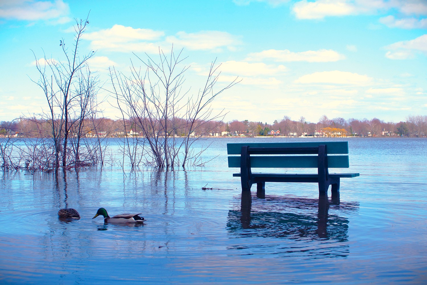 North Shore largely spared as flood threat shifts elsewhere
