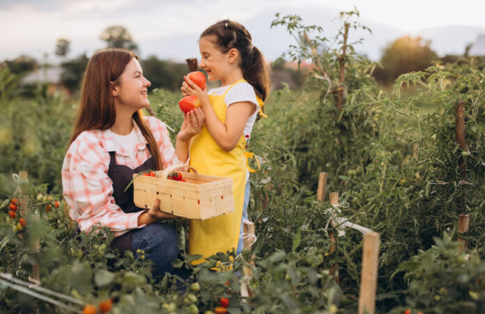 Boisbriand Unveils Food Community Development Plan Aimed at Strengthening Local Access and Sustainability