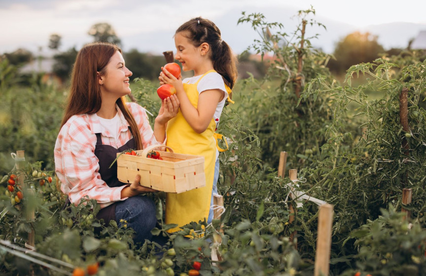 Boisbriand Unveils Food Community Development Plan Aimed at Strengthening Local Access and Sustainability