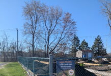 Sainte-Therese encourages residents to plant milkweed to help protect monarch butterflies