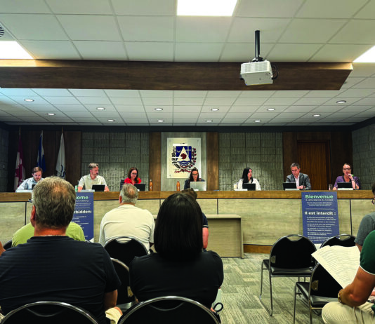Hydro-Québec clearing dominates Rosemère council meeting