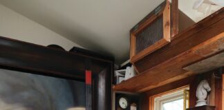 Step inside Maxime Lacourse’s living gallery
