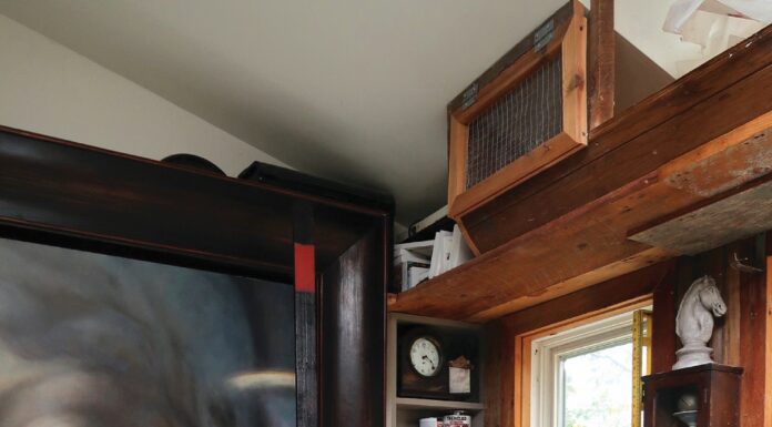 Step inside Maxime Lacourse’s living gallery