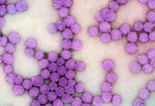 Lyme Disease Risk Expands Across Most of the Laurentides Region