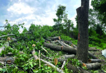 “It takes longer than a month to find a solution to this,” said Mayor Marie-Elaine Pitre during the Aug. 17 Rosemère council meeting.