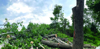 “It takes longer than a month to find a solution to this,” said Mayor Marie-Elaine Pitre during the Aug. 17 Rosemère council meeting.