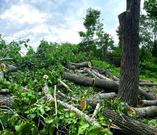 “It takes longer than a month to find a solution to this,” said Mayor Marie-Elaine Pitre during the Aug. 17 Rosemère council meeting.